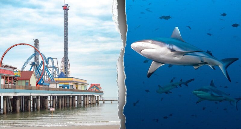 Shark attack turns holiday boating trip into bloody fight for teen’s survival