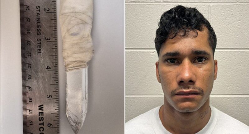 Sheridan Gorman’s alleged illegal immigrant killer caught with weapon while in jail custody, police say