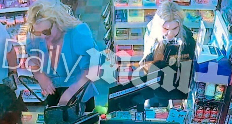 Shocking video of 'barking' Britney Spears' night out after rehab