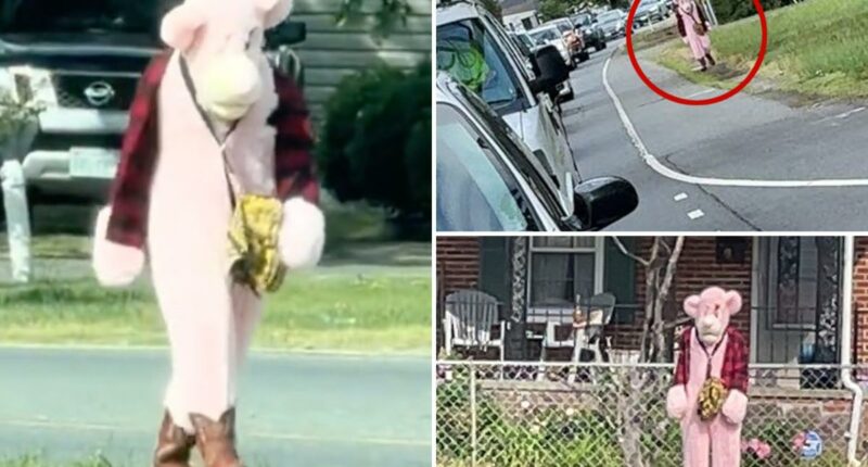 Sicko in Pink Panther-like costume allegedly hunts down local school kids in Virginia â nearly abducts little girl