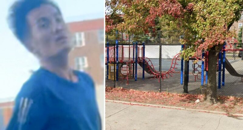 Sicko wanted for shoving group of children, choking 7-year-old boy in NYC park