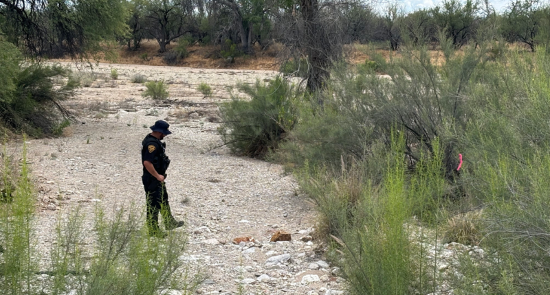 Skeleton unearthed near Nancy Guthrie search site believed to be up to 1,000 years old, expert says