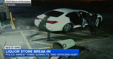 Skokie news: Video shows thieves break into liquor store on Dempster Street in Skokie, crash into police squad car, officials say
