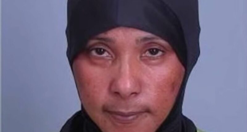 Somali woman in Nick Shirley daycare video charged $4.6m theft