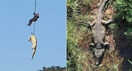 South African police airlift massive crocodile suspected of eating missing local
