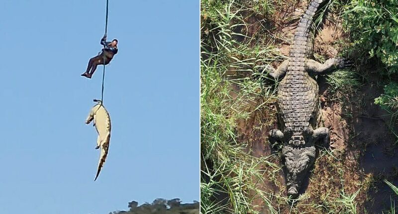 South African police airlift massive crocodile suspected of eating missing local