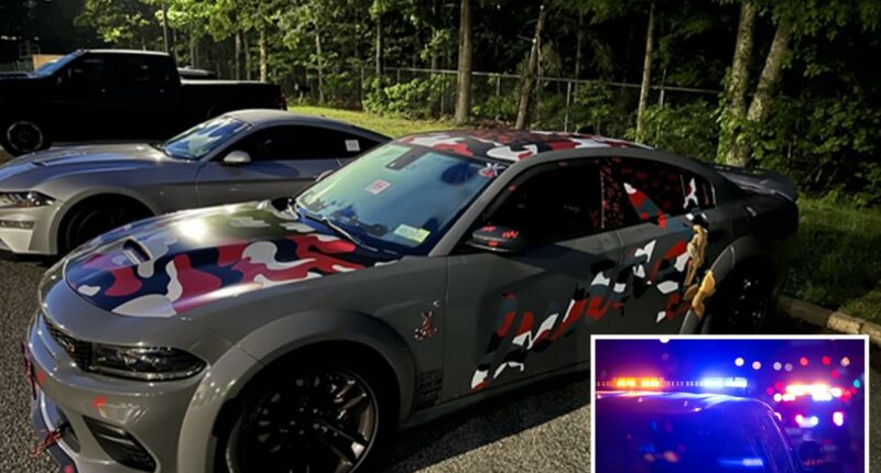 Speed demons caught drag-racing on Long Island: cops