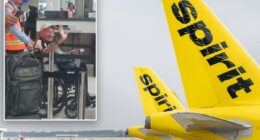 Spirit Airlines accused of failing to assist dementia patient who wandered out of airport, killed by car: lawsuit