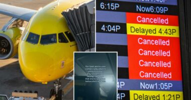 Spirit Airlines pilot gave emotional farewell to passengers after company announced shutdown
