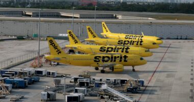 Spirit Airlines shuts down, canceling thousands of flights overnight