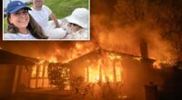 State Farm in crisis mode as watchdog threatens biggest ever penalty over wildfires