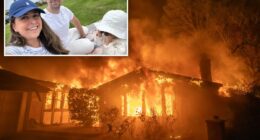 State Farm in crisis mode as watchdog threatens biggest ever penalty over wildfires