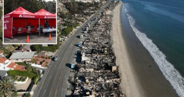 State Farm license suspension in California is unlikely despite 398 violations in wildfire claims probe