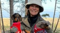 Story behind wife who stabbed husband after he had her dogs put down