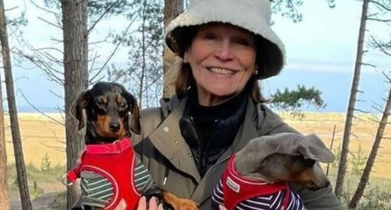 Story behind wife who stabbed husband after he had her dogs put down