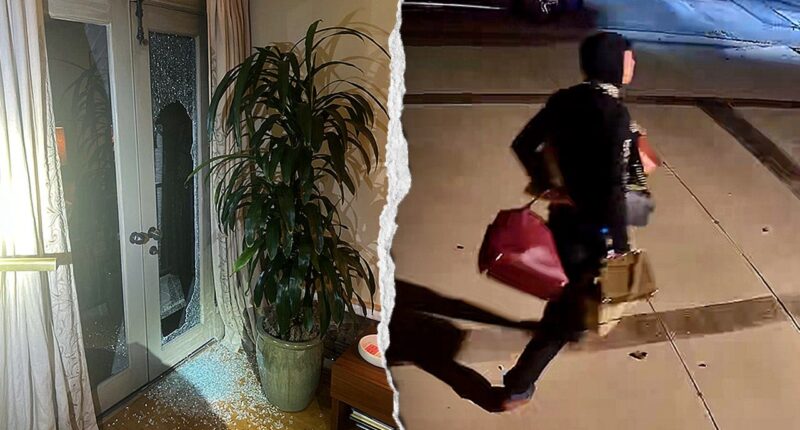 String of burglaries rocking LA residential area committed by South American gangs, DA says
