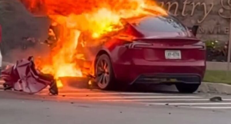 Student, 20, suffered injuries after Tesla burst into flames