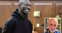 Subway shove suspect appears in court after allegedly killing retired teacher