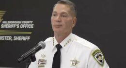 Tampa sheriff gives gruesome update in case of 2 missing USF students