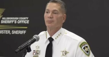Tampa sheriff gives gruesome update in case of 2 missing USF students