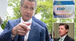 Tax hike on California employers spurs plea for help to cover Gavin Newsom’s ‘failures’