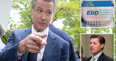 Tax hike on California employers spurs plea for help to cover Gavin Newsom’s ‘failures’