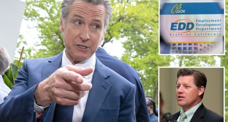 Tax hike on California employers spurs plea for help to cover Gavin Newsom’s ‘failures’