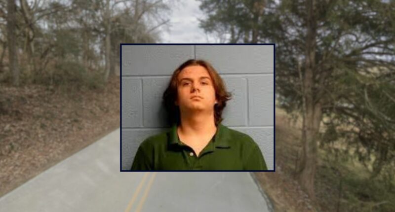 Teen killed family, then got pizza and went to Walmart
