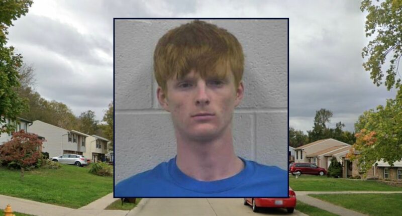 Teen pleads to fatally beating grandma with metal tumbler