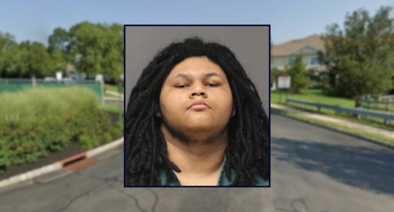 Teenager casually admits to killing grandmother, police say