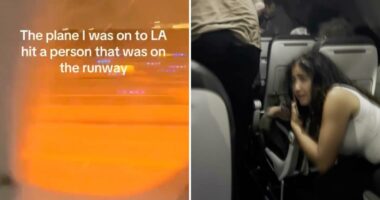 Terrifying videos show Frontier Airlines passengers fleeing smoke-filled cabin after jet strikes person on Denver runway