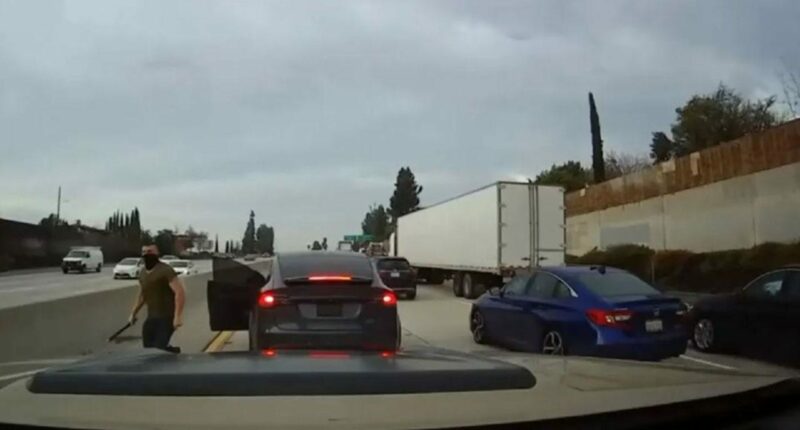 'Tesla Road Rage Driver' sentenced to seven years in prison after attacking mother and daughter in Hawaii