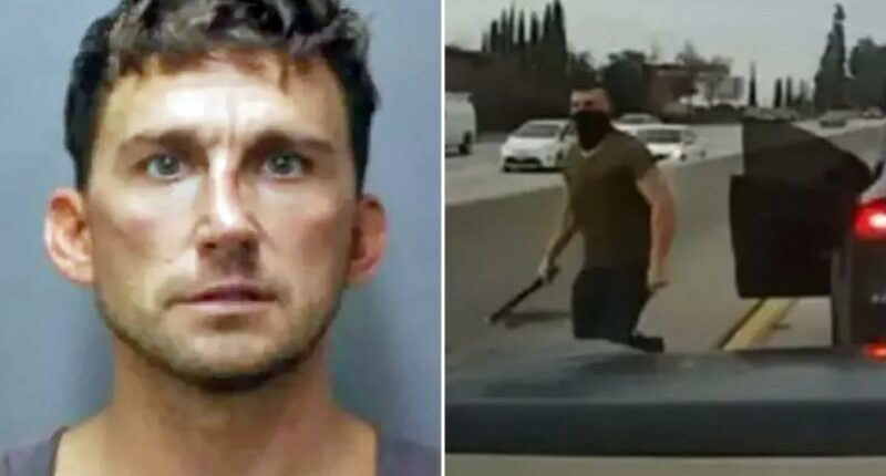 Tesla road-rager sentenced to seven years in prison after attacking mom and teen in Hawaii