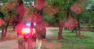 Texas Cessna plane crash kills 5; NTSB investigating