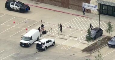 Texas gunman kills 2, wounds 3 during targeted business meetup: police