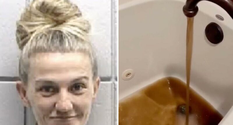 Texas mom suing cops who arrested her for drawing attention to city's âunsafeâ brown drinking water