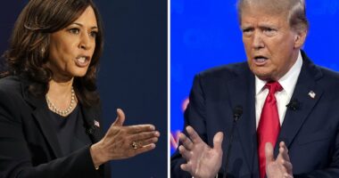 The 2024 election is 'freedom' versus 'power': Voters reveal the words they associate with Donald Trump and Kamala Harris