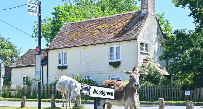 The English village STILL without broadband 26 YEARS after it was rolled out in the UK