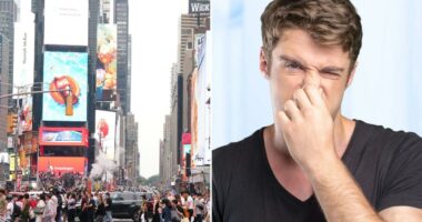 The Post sniffed out NYC's smelliest neighborhoods, according to 311 complaints