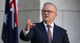 The TRUTH about Albanese's $1000 tax deduction: 'Largely symbolic'