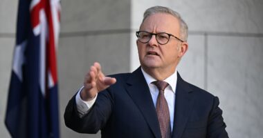 The TRUTH about Albanese's $1000 tax deduction: 'Largely symbolic'