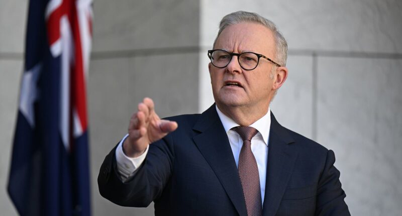 The TRUTH about Albanese's $1000 tax deduction: 'Largely symbolic'