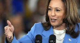 The bombshell story that hurts Kamala Harris most with swing voters and could implode her campaign - and it's not what you think