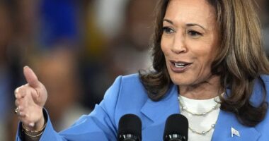 The bombshell story that hurts Kamala Harris most with swing voters and could implode her campaign - and it's not what you think