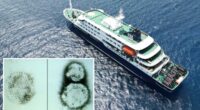 The disgusting, terrifying causes of MV Hondius cruise ship hantavirus outbreak