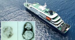 The disgusting, terrifying causes of MV Hondius cruise ship hantavirus outbreak