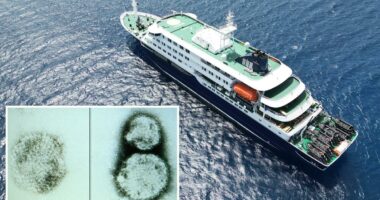 The disgusting, terrifying causes of MV Hondius cruise ship hantavirus outbreak