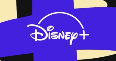 The future of Disney Plus is a confused mess