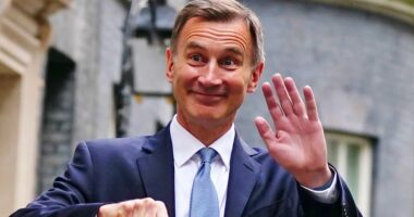 The government must 'be true Tories again' by bringing in 'significant' tax cuts at Jeremy Hunt's budget next week, MPs warn