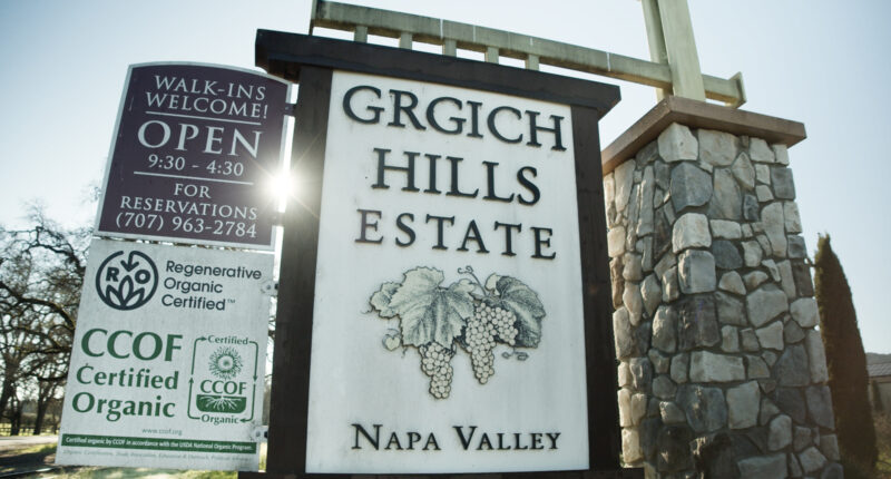The wine that changed everything: Inside Grgich Hills Estate, 50 Years On